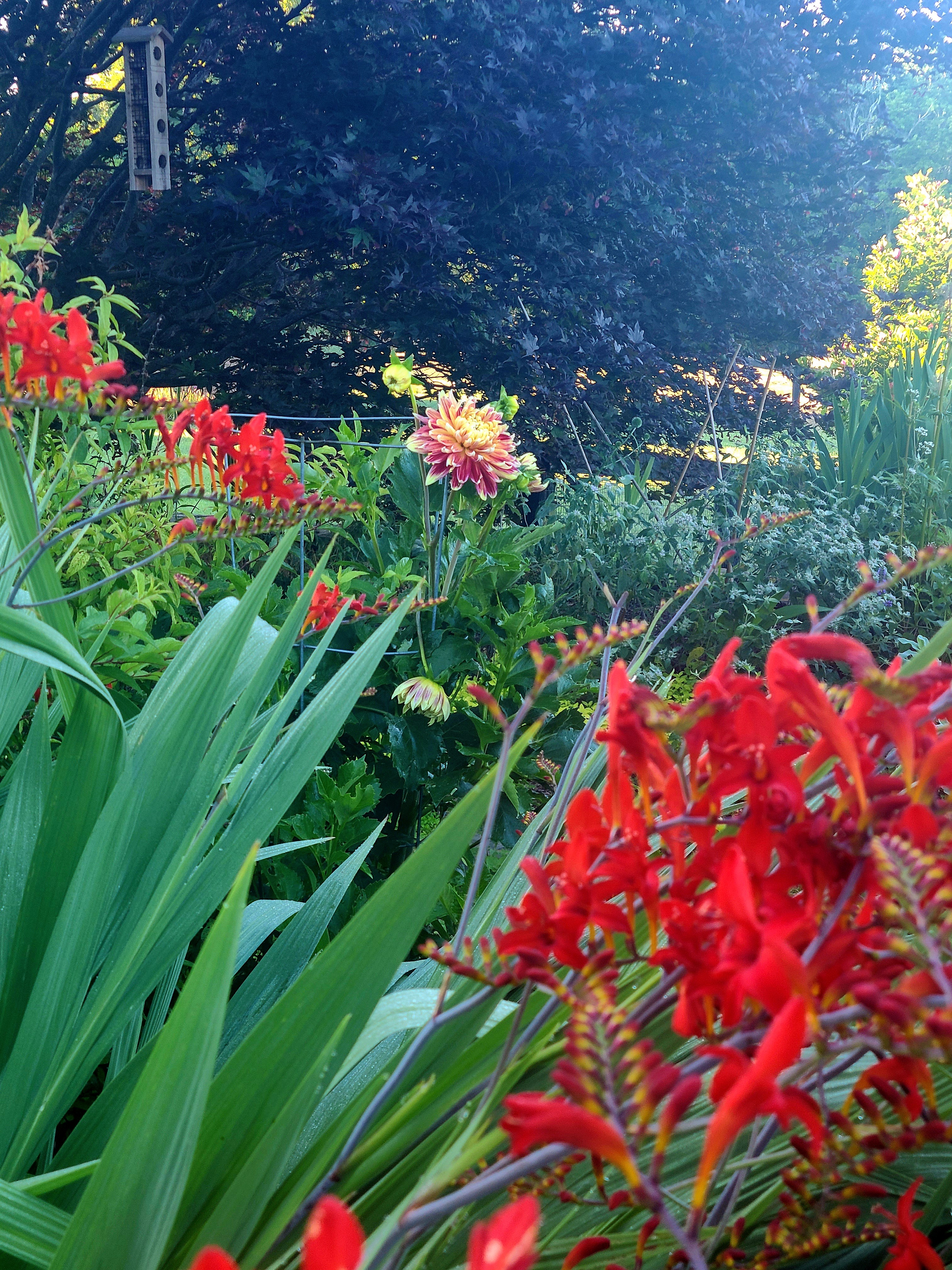 Everything has beauty, but not everyone can see